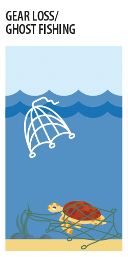 Gear loss/ghost fishing