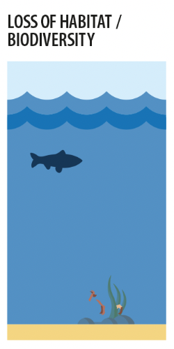 Loss of habitat/biodiversity