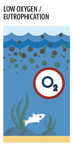 Low oxygen/eutrophication