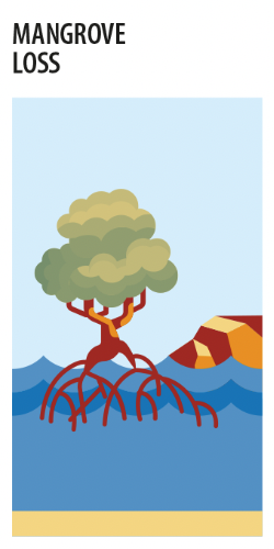 Mangrove loss