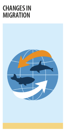 Changes in migration