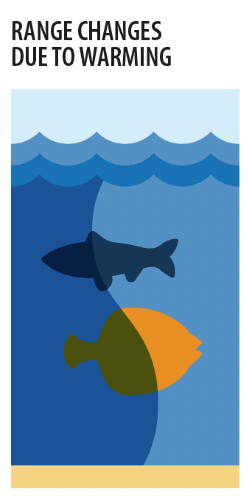 Range changes due to warming