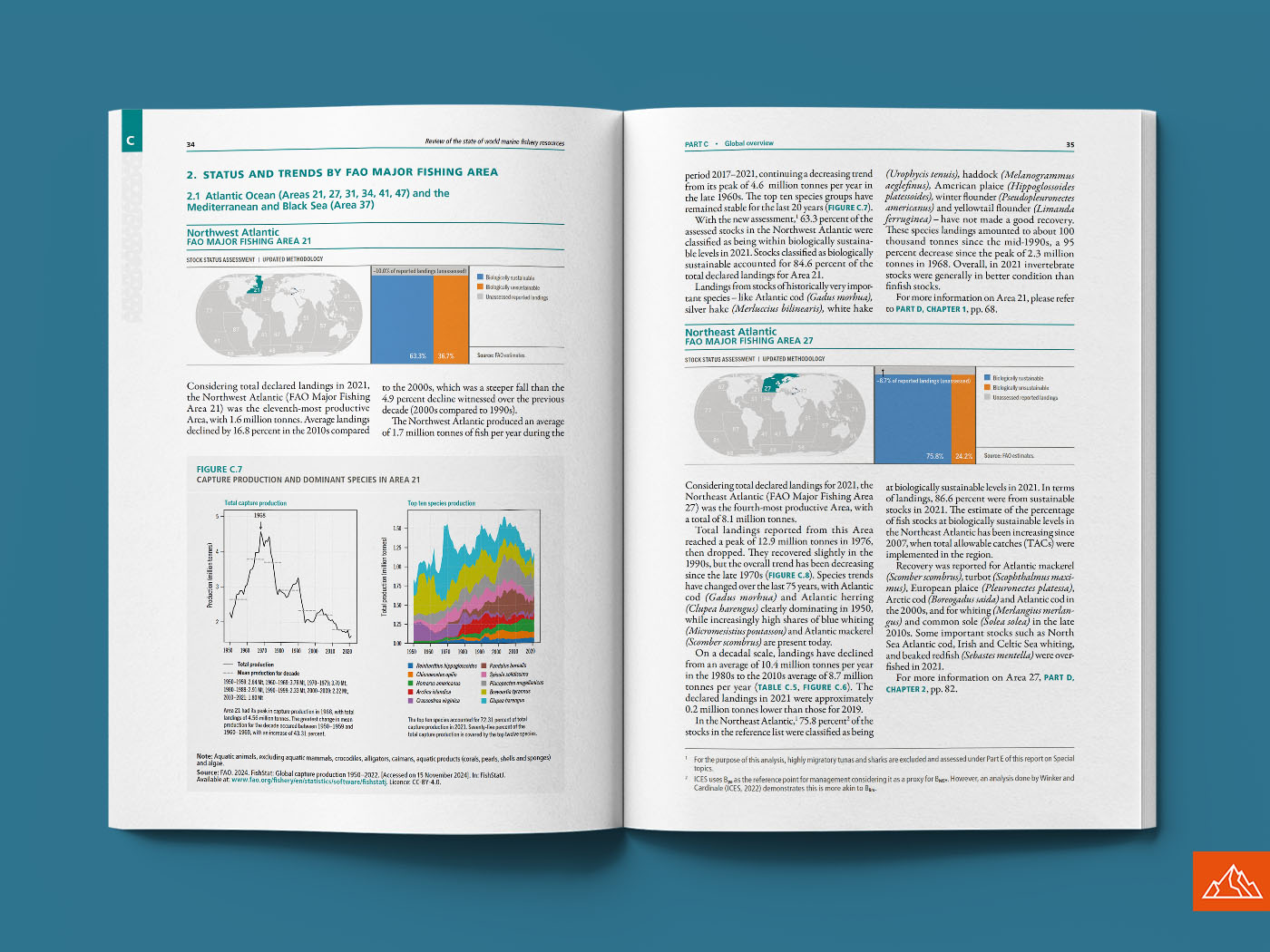 Review of the state of world marine fishery resources 2025, image 3