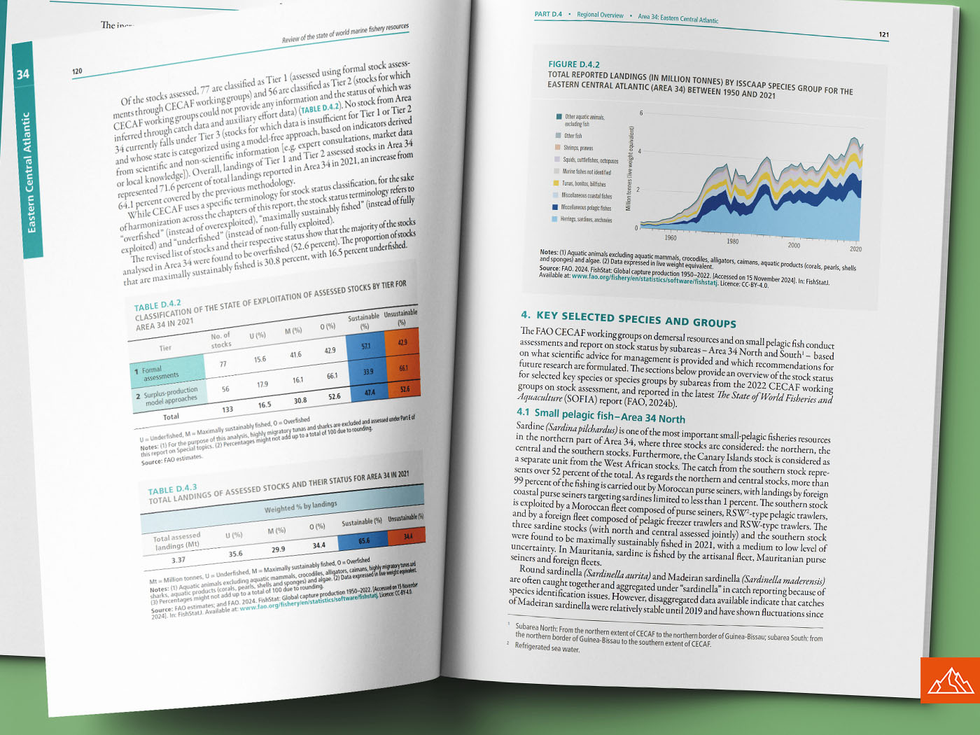 Review of the state of world marine fishery resources 2025, image 5