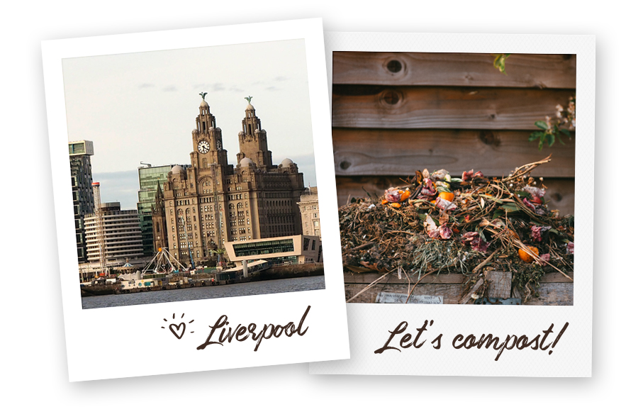 Picture for the about-us page: Liverpool Liver building & compost heap.