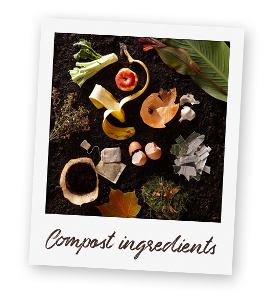 Compost ingredients.