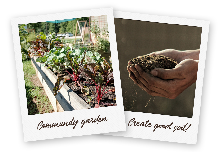 2 pictures for home page: community garden & hands holding soil.